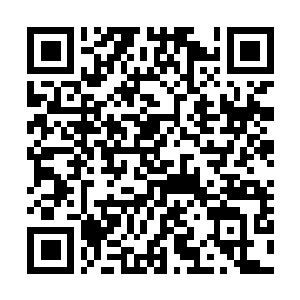 Link to your fundraiser QRCode - Fundraising