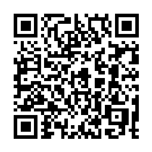 Link to your fundraiser QRCode - Fundraising