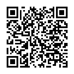 Link to your fundraiser QRCode - Fundraising