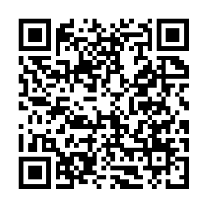 Link to your fundraiser QRCode - Fundraising