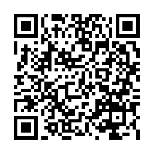 Link to your fundraiser QRCode - Fundraising