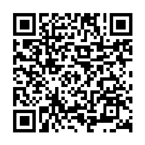 Link to your fundraiser QRCode - Fundraising