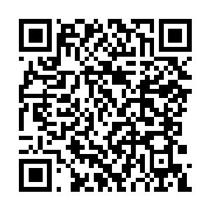 Link to your fundraiser QRCode - Fundraising