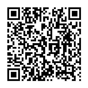 Link to your fundraiser QRCode - Fundraising