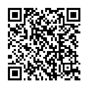 Link to your fundraiser QRCode - Fundraising