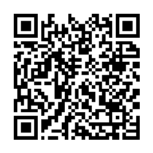 Link to your fundraiser QRCode - Fundraising