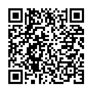 Link to your fundraiser QRCode - Fundraising