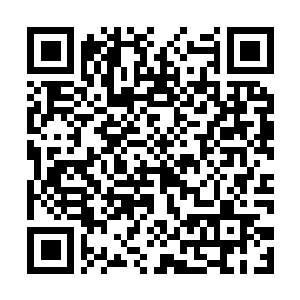Link to your fundraiser QRCode - Fundraising