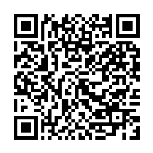 Link to your fundraiser QRCode - Fundraising
