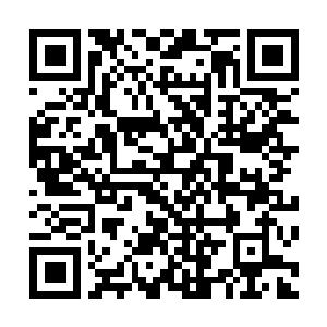 Link to your fundraiser QRCode - Fundraising
