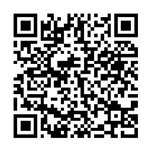 Link to your fundraiser QRCode - Fundraising