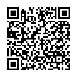 Link to your fundraiser QRCode - Fundraising
