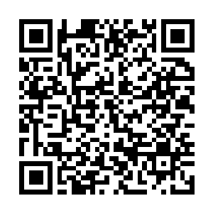 Link to your fundraiser QRCode - Fundraising