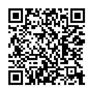 Link to your fundraiser QRCode - Fundraising