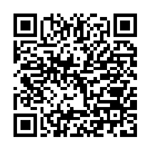 Link to your fundraiser QRCode - Fundraising