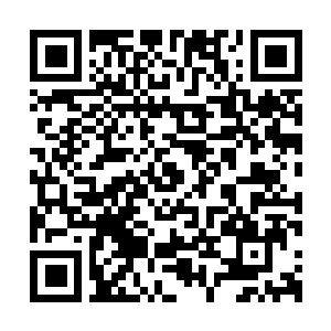 Link to your fundraiser QRCode - Fundraising