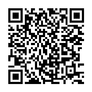 Link to your fundraiser QRCode - Fundraising