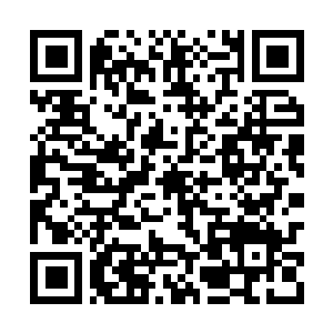 Link to your fundraiser QRCode - Fundraising