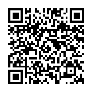 Link to your fundraiser QRCode - Fundraising