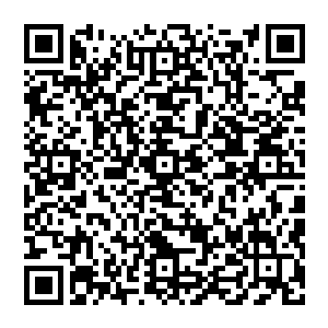 Link to your fundraiser QRCode - Fundraising