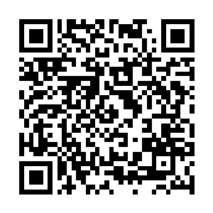 Link to your fundraiser QRCode - Fundraising