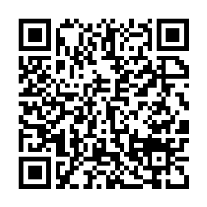 Link to your fundraiser QRCode - Fundraising