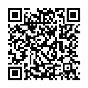 Link to your fundraiser QRCode - Fundraising