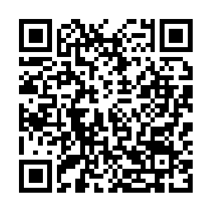 Link to your fundraiser QRCode - Fundraising