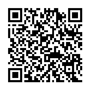 Link to your fundraiser QRCode - Fundraising