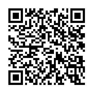 Link to your fundraiser QRCode - Fundraising