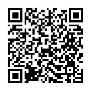 Link to your fundraiser QRCode - Fundraising