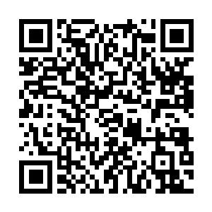Link to your fundraiser QRCode - Fundraising