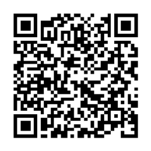 Link to your fundraiser QRCode - Fundraising