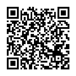 Link to your fundraiser QRCode - Fundraising