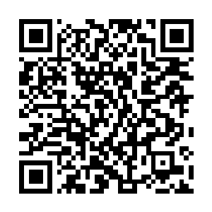 Link to your fundraiser QRCode - Fundraising