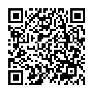 Link to your fundraiser QRCode - Fundraising