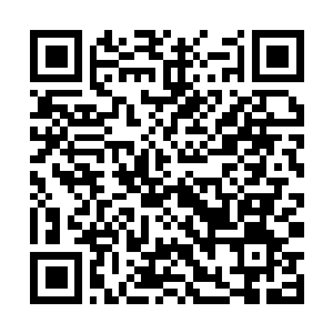 Link to your fundraiser QRCode - Fundraising