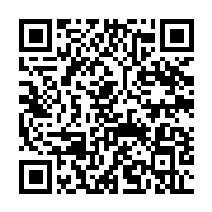 Link to your fundraiser QRCode - Fundraising