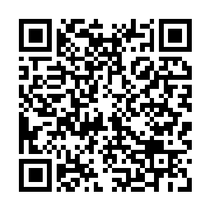 Link to your fundraiser QRCode - Fundraising