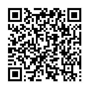 Link to your fundraiser QRCode - Fundraising