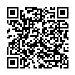 Link to your fundraiser QRCode - Fundraising