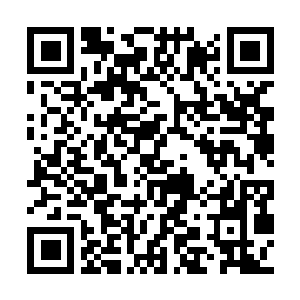 Link to your fundraiser QRCode - Fundraising