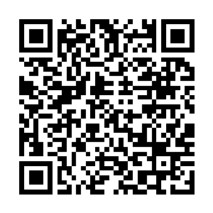 Link to your fundraiser QRCode - Fundraising