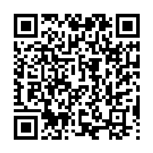 Link to your fundraiser QRCode - Fundraising