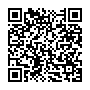Link to your fundraiser QRCode - Fundraising