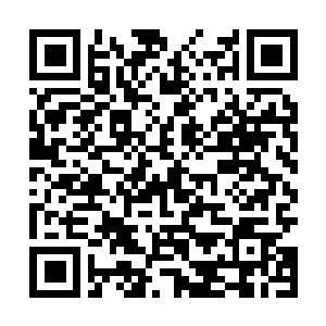 Link to your fundraiser QRCode - Fundraising