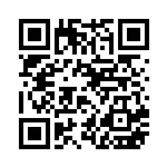 QR code preview