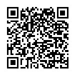 王承哲率队参加第六届黄河文化研讨会暨2025年黄河文化研究会年会并作主旨报告