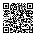 就业优先，筑牢民生之本