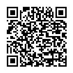 美国斯坦福大学东亚语言与文化系刘莉教授来我院作专题报告